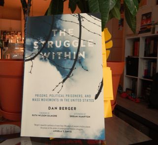 The book 'The Struggle Within' leaning against two plant pots