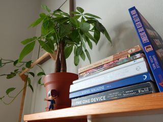 Plants and books on a shelf viewed from the bottom right